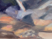 Load image into Gallery viewer, Beachcombers