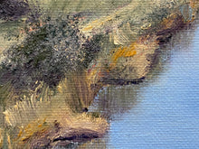 Load image into Gallery viewer, Le Petit Cochon