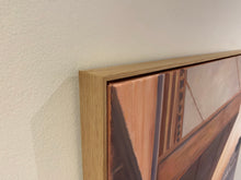 Load image into Gallery viewer, Something in the Air
